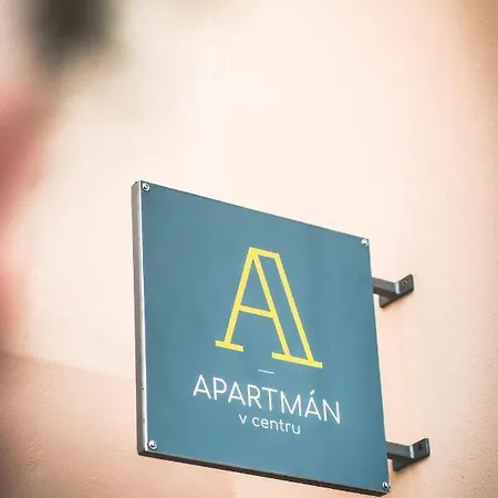 V Centru Apartment *